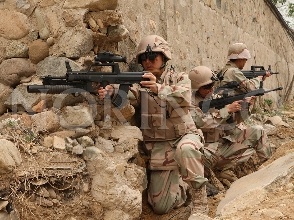 �����ۺ���սϵͳ